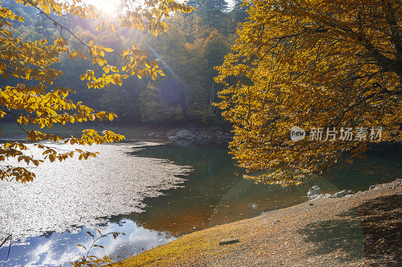 Yedigoller湖国家公园在秋天的mengen bolu土耳其